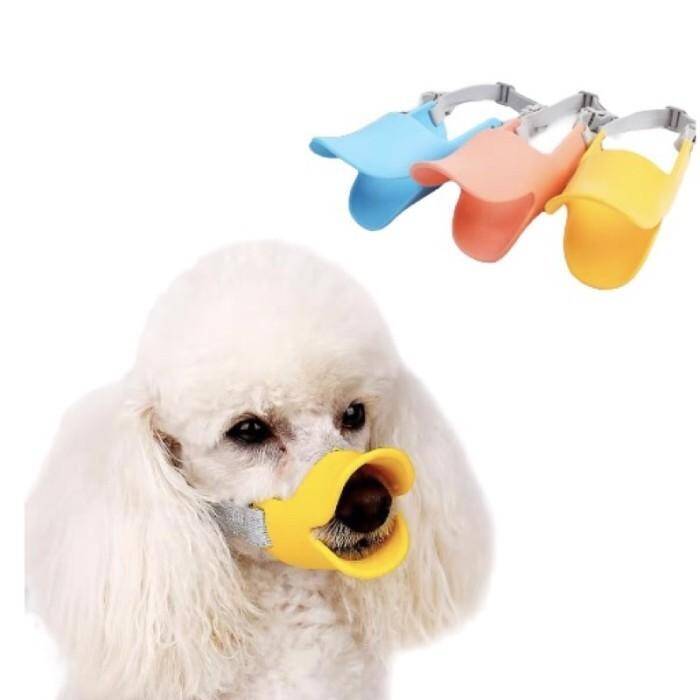 پوزه بند اردکی